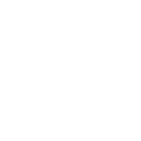 phone-icon