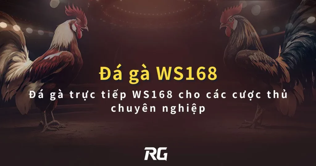 Da-ga-WS168-Da-ga-truc-tiep-WS168-cho-cac-cuoc-thu-chuyen-nghiep-1024x538